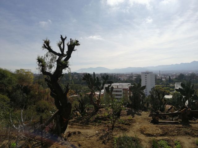 Paisajes de Tarija