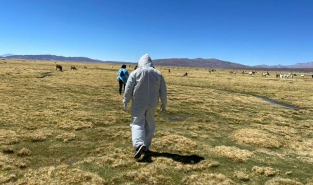 Boliviana fallece cuando cruzaba la frontera con Chile