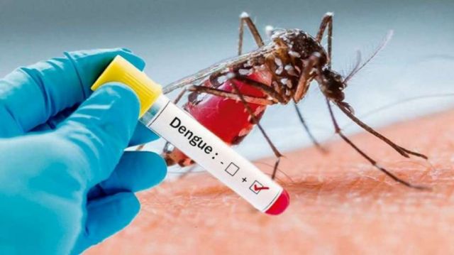 Crean un antiviral muy potente contra el dengue