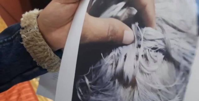 Salón de belleza donde una mujer perdió su cabello por un tinte en Tarija podría ser multado con 3mil UFV 