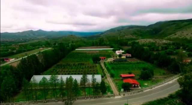 La producción agropecuaria es vital para la reactivación económica de Tarija