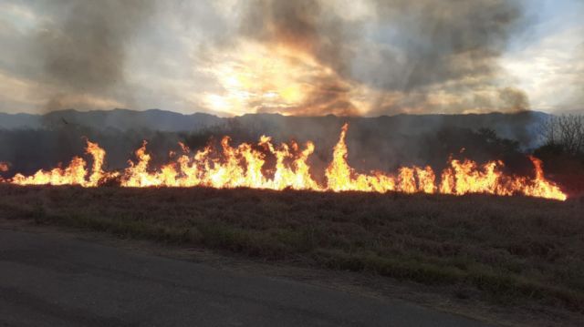 Yacuiba: Se reactiva un incendio en Yaguacua y pone en riesgo la Termoeléctrica 