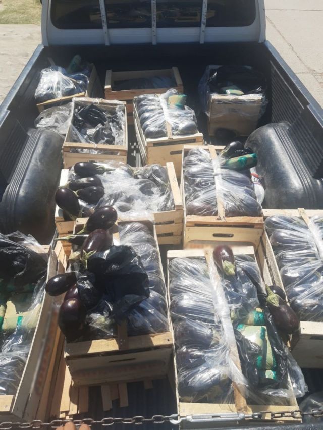 Orán: llevaban 83 kg de coca camuflados en cajones de berenjenas