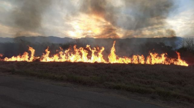 Suman 7 días de incendio en Yacuiba, piden colaboración de la población
