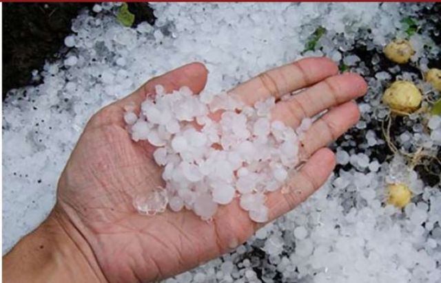 Granizada destroza al menos 35 hectáreas de cultivos en Obrajes – Tarija
