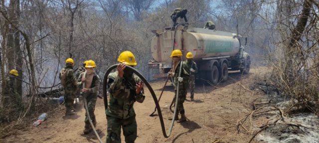 Los incendios afectaron a más  de 250 hectáreas en Yacuiba  