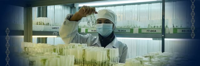 Iniaf busca la mejor iniciativa en innovación productiva de Tarija