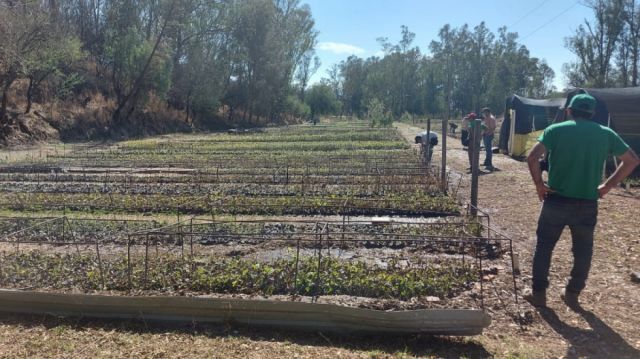 El Pertt busca recuperar el 80% de plantines afectados por granizada en Tarija
