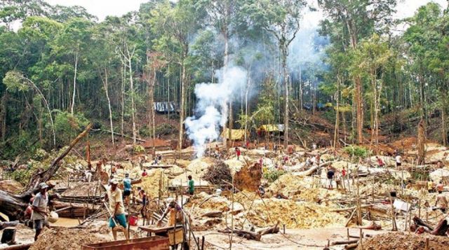 Bolivia entre los países con mayor deforestación de los bosques en la región y el mundo