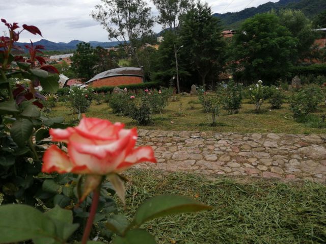 Estampas tarijeñas
