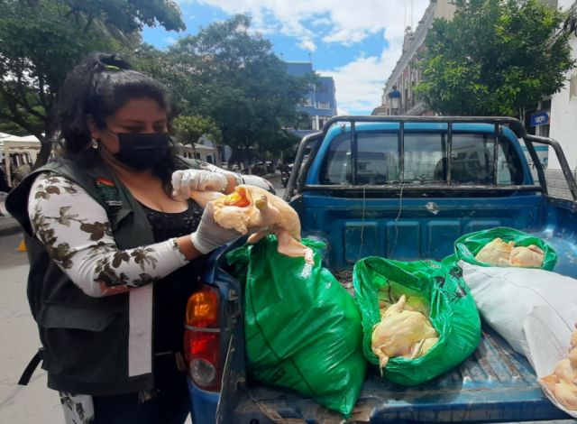 Contrabando ocasiona pérdida de Bs 132 millones a los avicultores de Tarija
