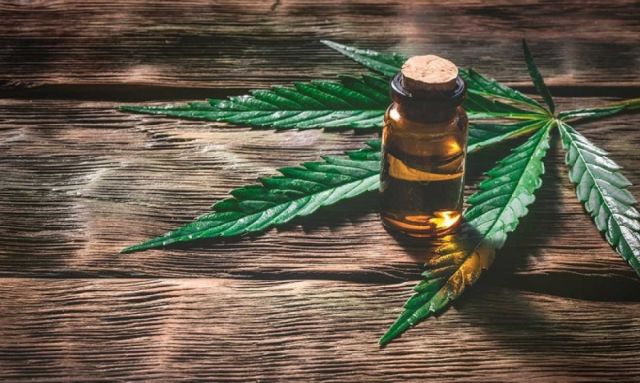 Autorizan uso de cannabis medicinal de manera "excepcional" para una menor en Bolivia