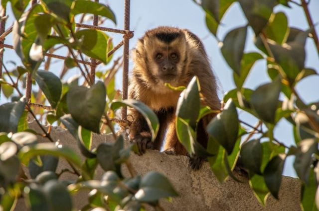 Bioparque de Tarija descarta falta de cuidados a los 128 animales 
