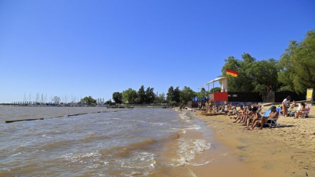 Un ataque de peces carnívoros en Argentina deja más de 30 heridos