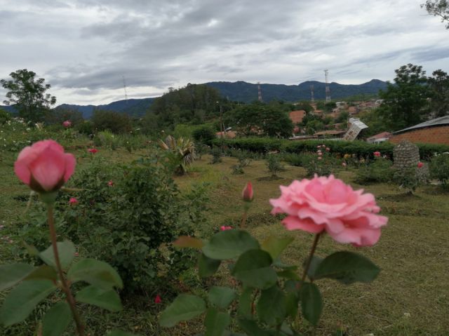 Jardines de Tarija