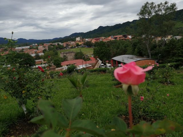 Jardines de Tarija