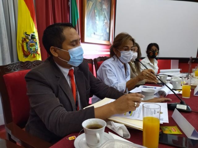 Consejo de Lucha contra la Violencia hacia las mujeres resuelve fortalecer prevención y reacción interinstitucional