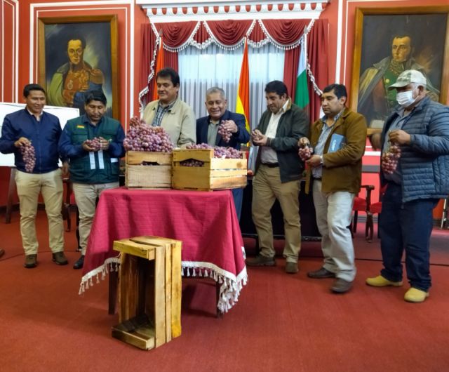 Presentan nueva caja estándar para venta de uva tarijeña