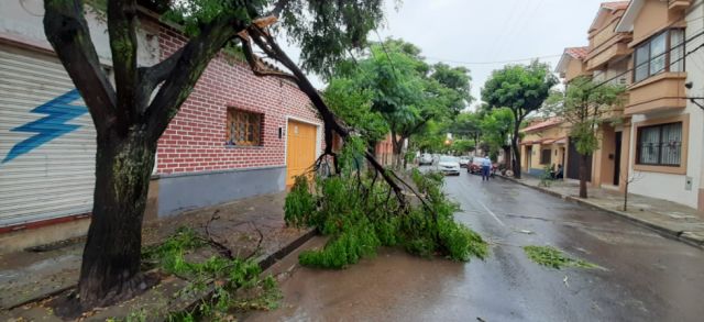 SETAR reporta que lluvias afectaron líneas de transmisión de energía