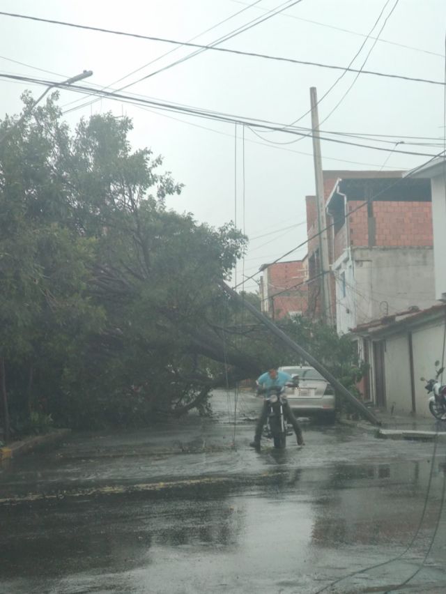 LLuvias causan destrozos y cortes en luz en Tarija