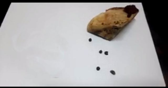 ¿Abigeato? Perdigones ponen en  duda origen de carne en Yacuiba 