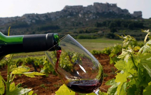 Europa se abre a vinos bolivianos y vitivinicultores aún ven tropiezos