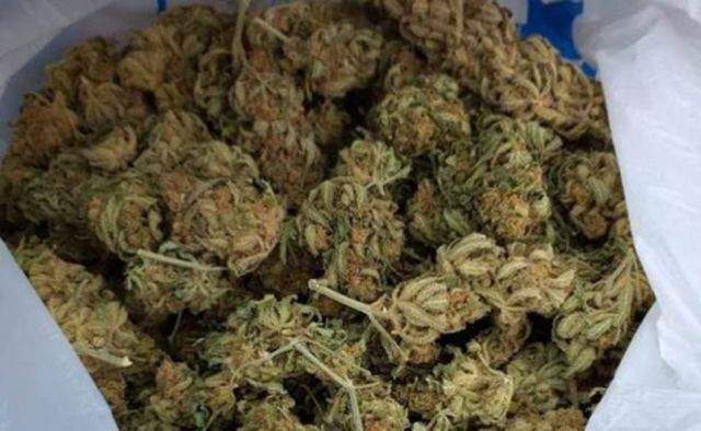 Bermejo: Condenan a dos sujetos que tenían 15 kilos de marihuana