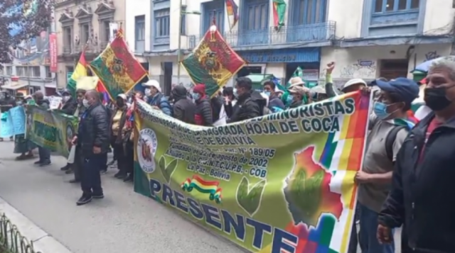 Coca: Comerciantes rechazan aprobación de 3 mil carpetas