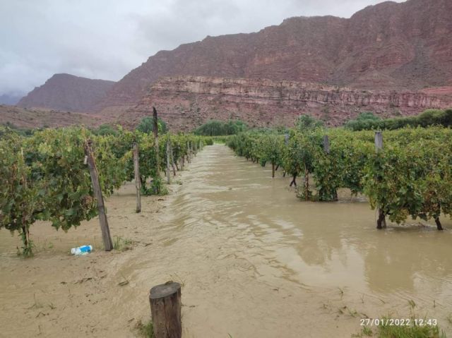 Lluvias causan estragos en Tarija y ocasionan pérdidas en el agro
