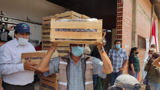 Desde Tarija, envían 2.000 cajas de uva al Paraguay