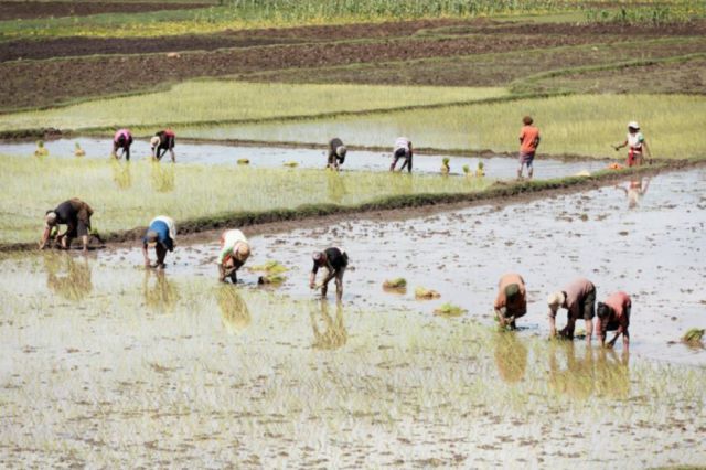 Alimentos y  agua: claves  en un mundo  pospandemia