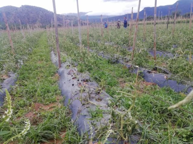 Campesinos advierten demoras en declaratorias de emergencia