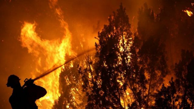 Reportan 84 incendios forestales en Chile