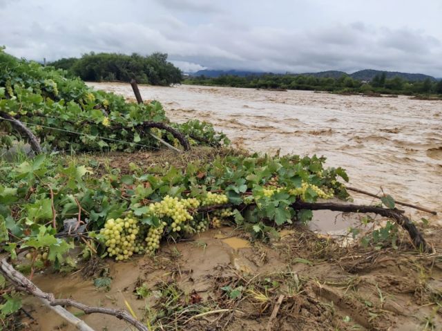 Decreto de Emergencia permitirá a Gobernación de Tarija reformular el POA 