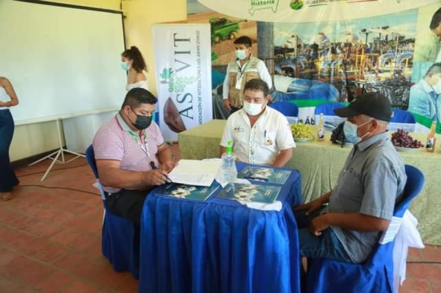 Se expande la vid chaqueña con 30 nuevas variedades