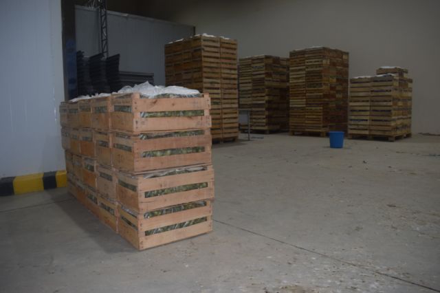 Guardarán hasta 10.000 cajas