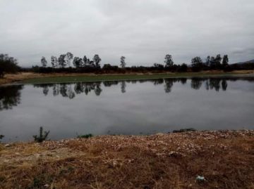 Panique: Por las lagunas en San Luis respiramos ácido sulfhídrico