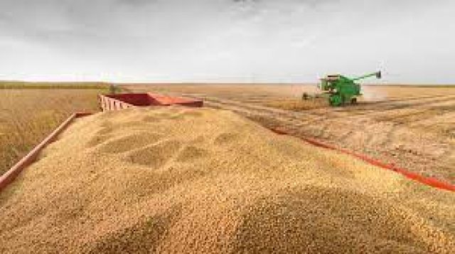 Argentina suspende la exportación de harina y aceite de soja