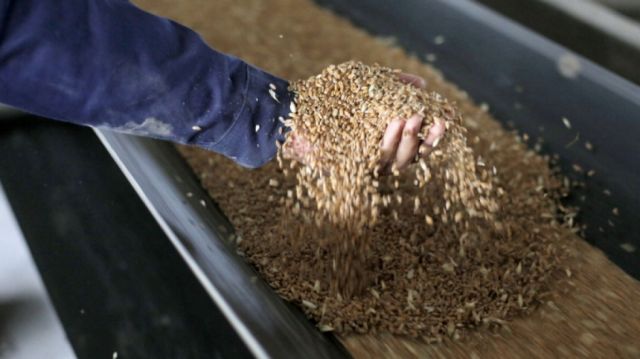 Más inseguridad alimentaria,  afectada por covid y guerra