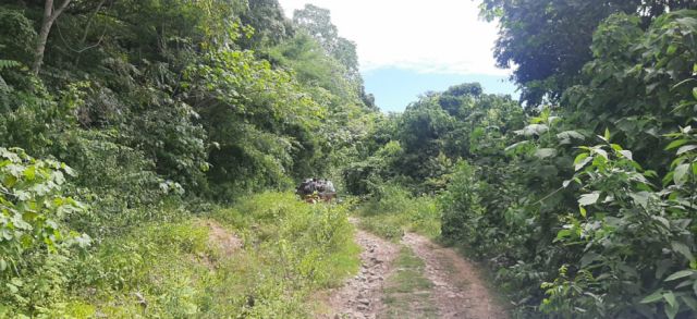 Padcaya se moviliza en defensa de la exploración en Astilleros