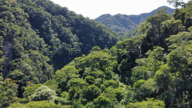 YPFB implementará plan de mitigación ambiental en Astillero para cuidar, agua, suelo, flora y fauna