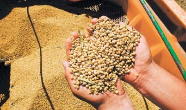 Senasag retuvo cuatro camiones que transportaban soya de contrabando en Tarija