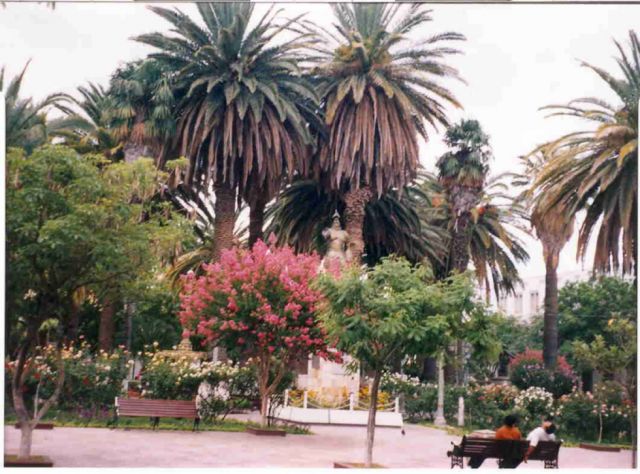 PLaza Luis de Fuentes florida