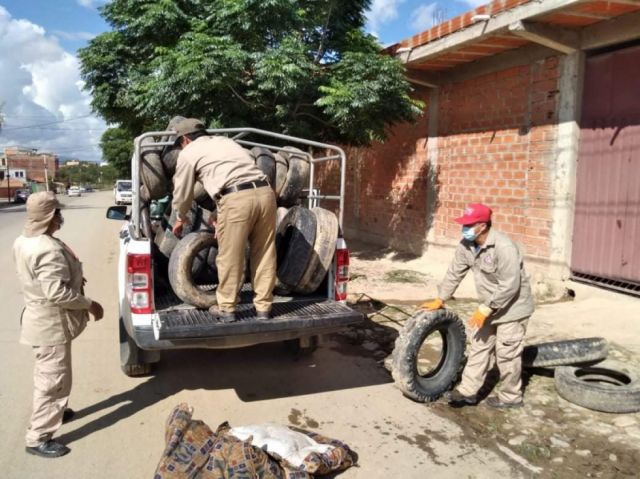 Tarija: Con 33 casos de dengue, intensifican tareas de prevención