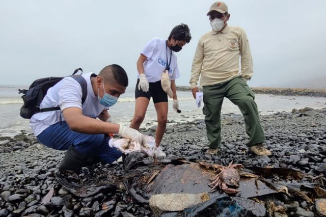 Perú: Pescadores denuncian a Repsol ante España