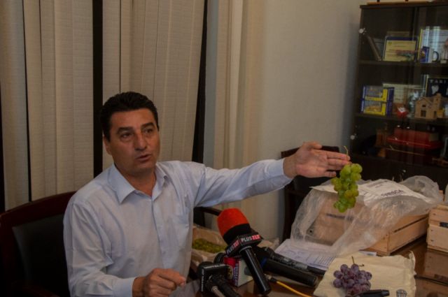 El 2023, Alcaldía de Tarija prevé acopiar 1.000 t de uva en cámaras de frío 