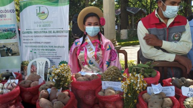 Iscayachi invita a la XXIV feria de la papa 
