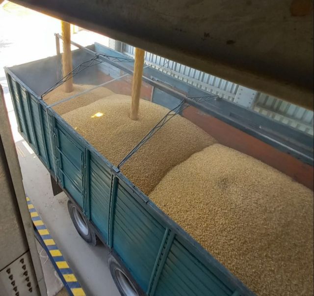 Seguridad alimentaria: Emapa garantiza 211.500 t de trigo