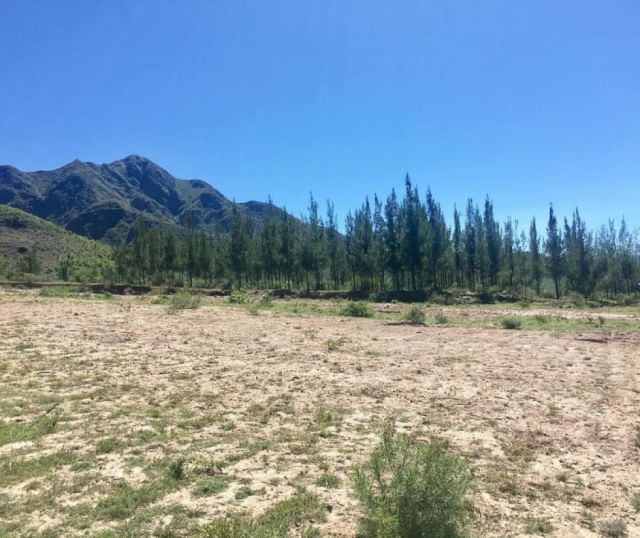 Hallan sin vida y cerca de un barranco a una mujer en Turumayo-Tarija