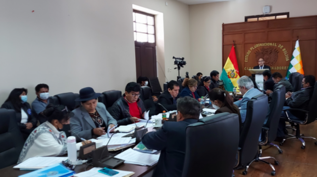 Elección de Defensor: MAS busca los 2/3